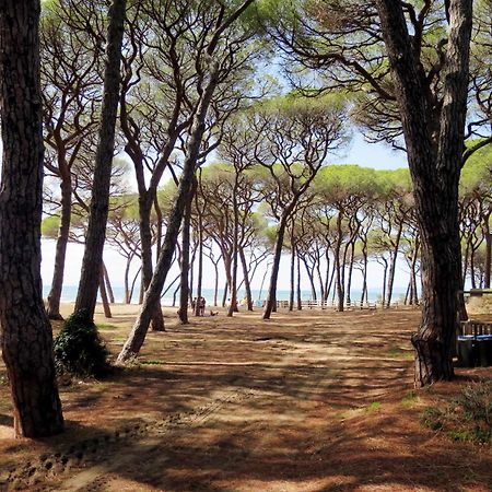 Locazione Turistica Bilocale - Ranch Hotel Scarlino Esterno foto